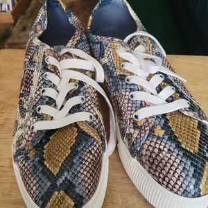 Steve Madden faux snakeskin platform sneakers, size 9.  Like new condition